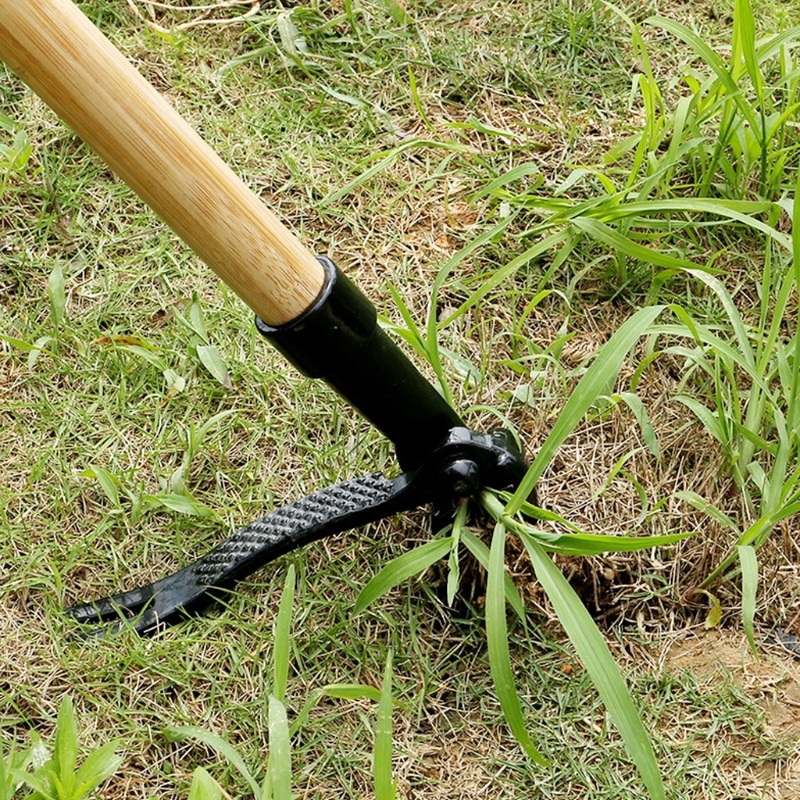 Pull Out the Crabgrass by Hand or Using a Tool